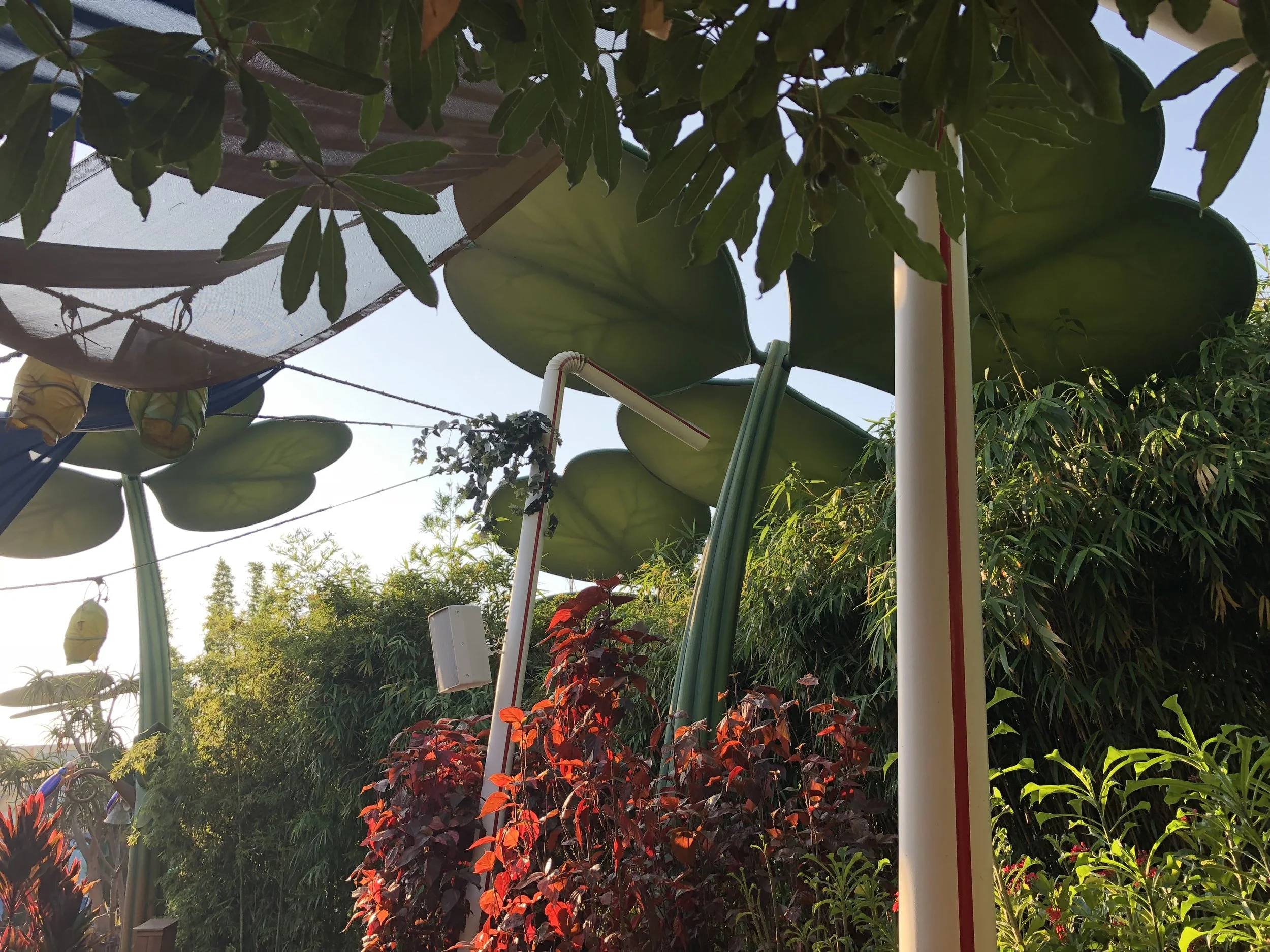 Things We'll Miss about A Bug's Land — lost weekenders